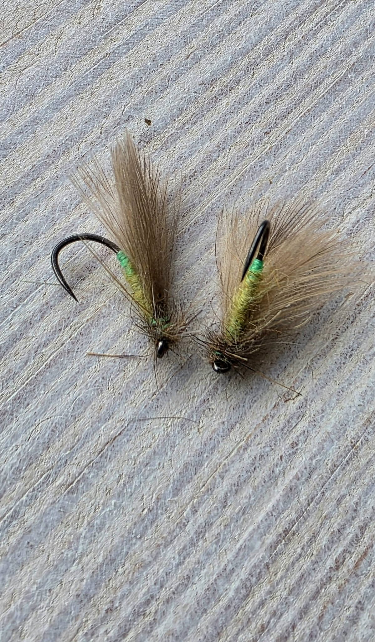 Caddis light olive