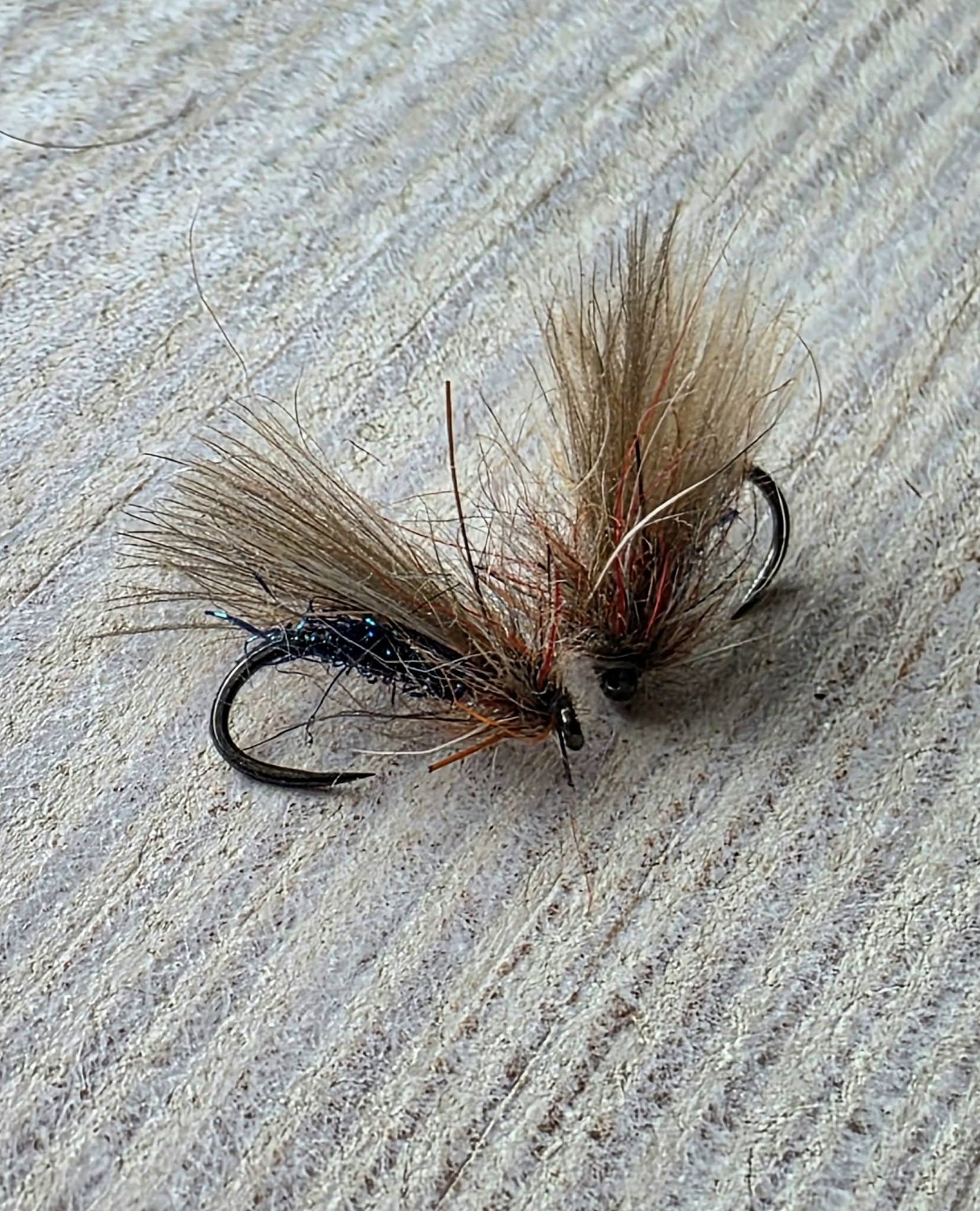 sedge