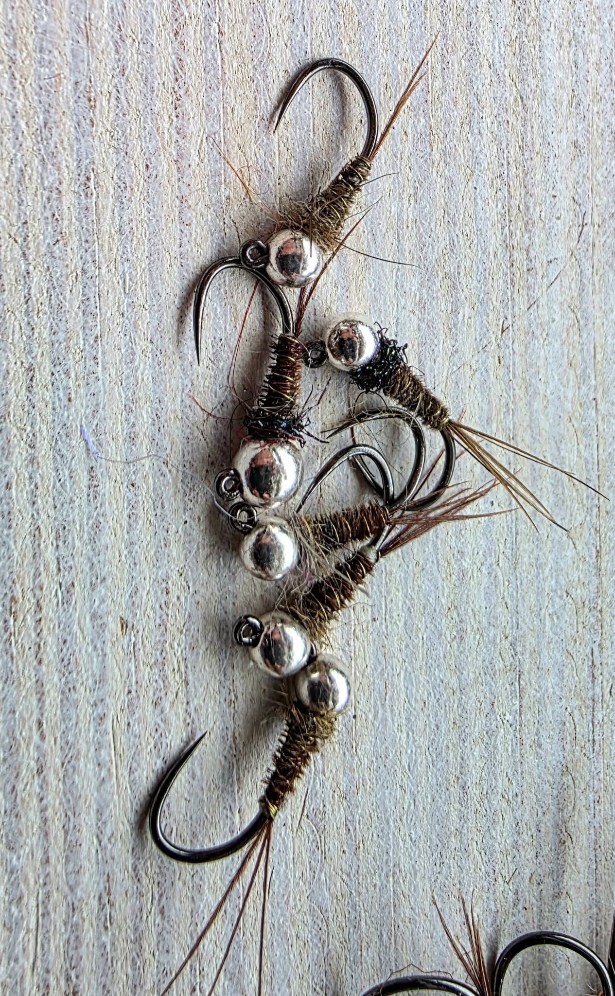 Pheasant Nymph