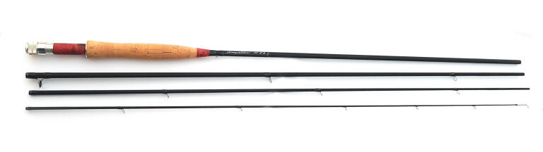 EGO COMPETITOR  CUSTOM 10'/3# (wykończenie korek) (6)